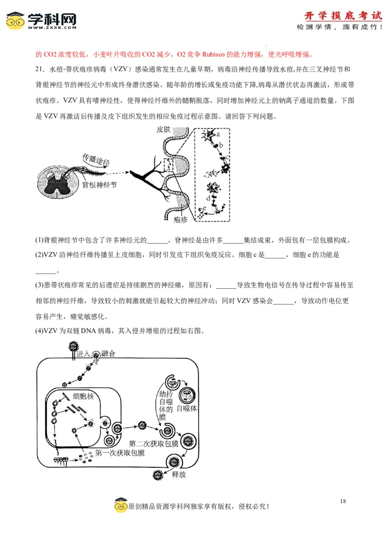 生物（江苏卷）（全解全析）_2024届新高三开学摸底考试卷_生物-2024届新高三开学摸底考试卷_生物-2024届新高三开学摸底考试卷（江苏卷）