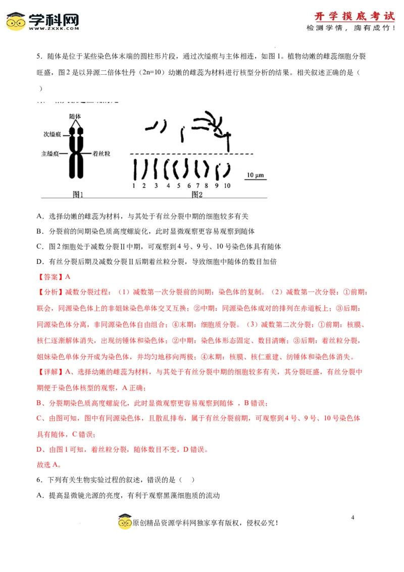 生物（江苏卷）（全解全析）_2024届新高三开学摸底考试卷_生物-2024届新高三开学摸底考试卷_生物-2024届新高三开学摸底考试卷（江苏卷）