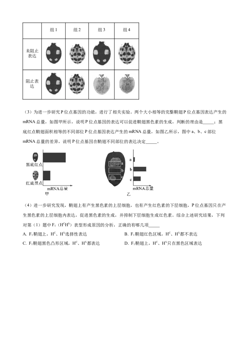 精品解析：2024年6月浙江卷生物高考真题（原卷版）_高考真题全网收集_生物学_精品解析：2024年新高考6月浙江卷生物高考真题解析（参考版）