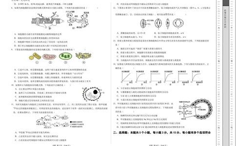 高一生物期中模拟卷03测试范围：人教版2019第1~4章（考试版A3）（新高考通用）_1多考区联考试卷_1014高一期中模拟卷（新高考通用）黄金卷：2024-2025学年高一上学期期中模拟考试