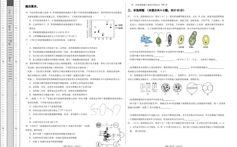 高一生物期中模拟卷03测试范围：人教版2019第1~4章（考试版A3）（新高考通用）_1多考区联考试卷_1014高一期中模拟卷（新高考通用）黄金卷：2024-2025学年高一上学期期中模拟考试