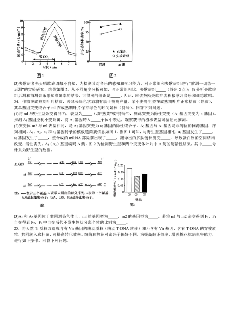 辽宁生物-试题-p_近10年高考真题汇编（必刷）_2024年高考真题_高考真题（截止6.29）_辽宁卷副科（黑龙江、辽宁、吉林）（6科全）