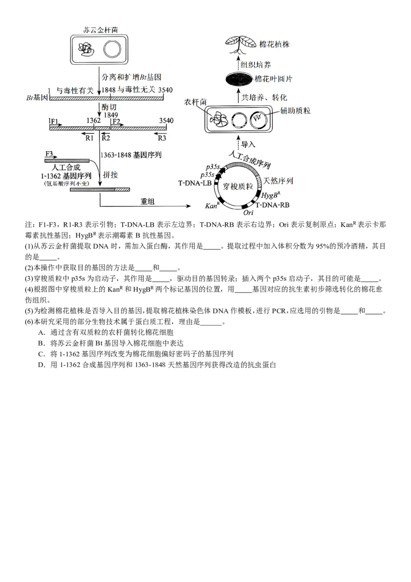辽宁生物-试题-p_近10年高考真题汇编（必刷）_2024年高考真题_高考真题（截止6.29）_辽宁卷副科（黑龙江、辽宁、吉林）（6科全）