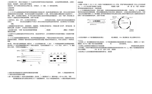 山西省天一四省联考2025-2026学年高三上学期1月月考生物试题(1)_2026年1月_260113天一小高考2026届高三（上）四省1月联考_天一四省联考2026届高三上学期1月月考生物试题+答案