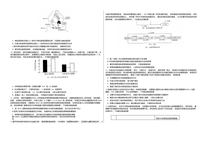 山西省天一四省联考2025-2026学年高三上学期1月月考生物试题(1)_2026年1月_260113天一小高考2026届高三（上）四省1月联考_天一四省联考2026届高三上学期1月月考生物试题+答案