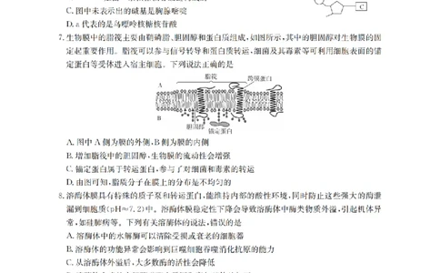 辽宁省2026届高三上学期10月联考（26-66C）生物_2025年10月_12026年试卷教辅资源等多个文件_251030金太阳&middot;辽宁省2026届高三上学期10月联考（26-66C）（全科)