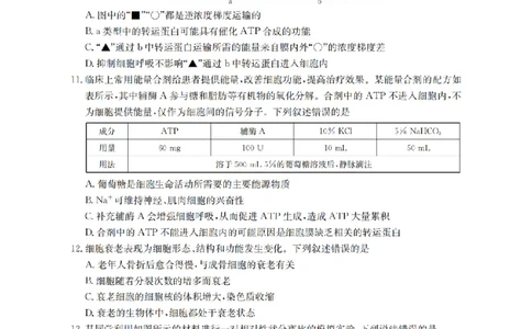 辽宁省2026届高三上学期10月联考（26-66C）生物_2025年10月_12026年试卷教辅资源等多个文件_251030金太阳&middot;辽宁省2026届高三上学期10月联考（26-66C）（全科)