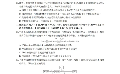 辽宁省2026届高三上学期10月联考（26-66C）生物_2025年10月_12026年试卷教辅资源等多个文件_251030金太阳&middot;辽宁省2026届高三上学期10月联考（26-66C）（全科)