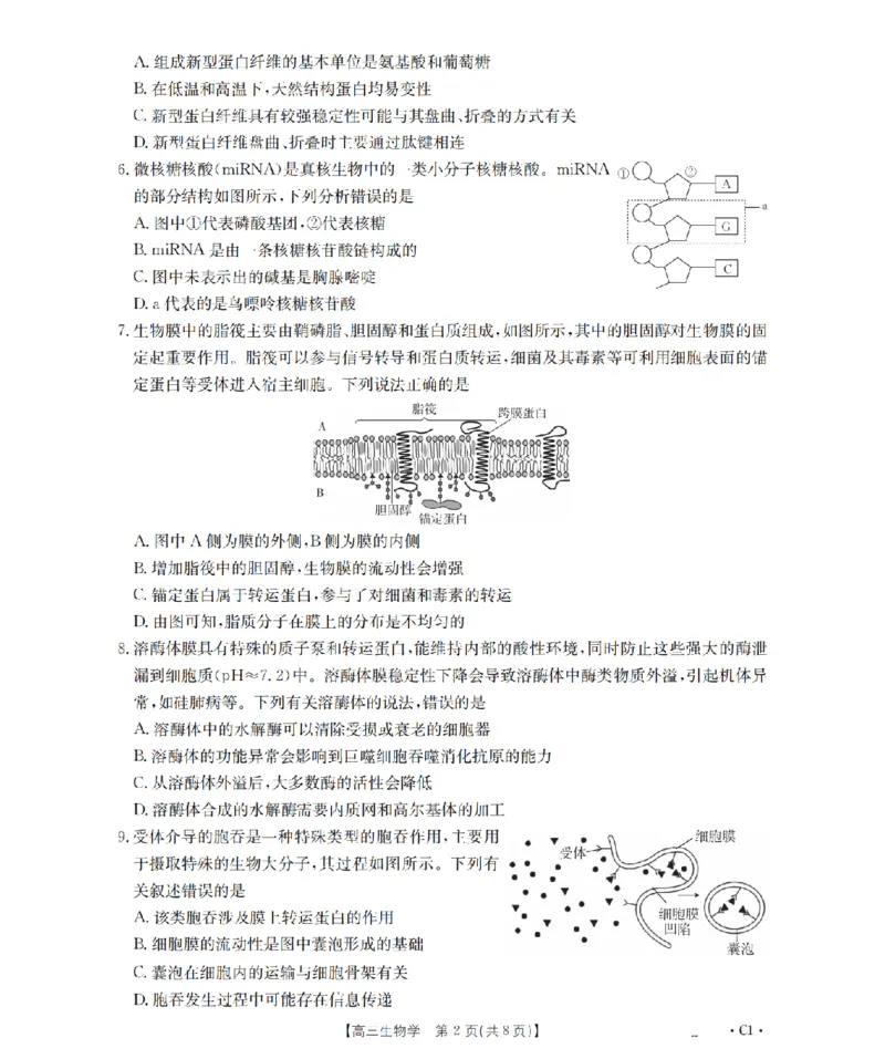 辽宁省2026届高三上学期10月联考（26-66C）生物_2025年10月_12026年试卷教辅资源等多个文件_251030金太阳&middot;辽宁省2026届高三上学期10月联考（26-66C）（全科)