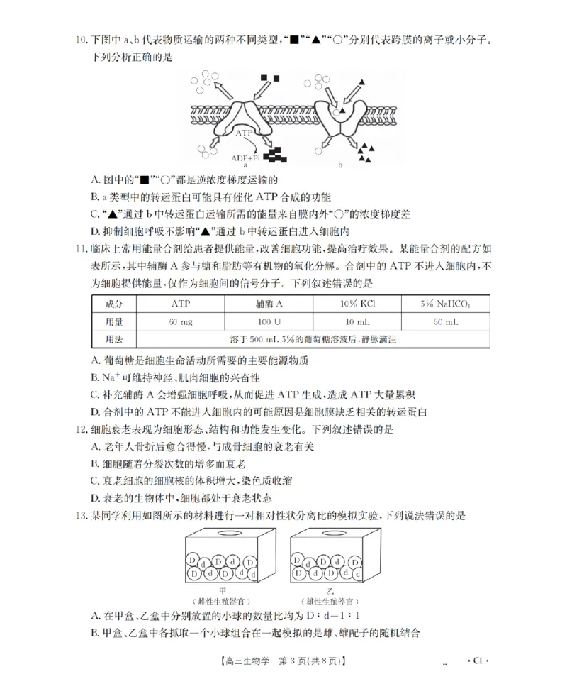 辽宁省2026届高三上学期10月联考（26-66C）生物_2025年10月_12026年试卷教辅资源等多个文件_251030金太阳&middot;辽宁省2026届高三上学期10月联考（26-66C）（全科)