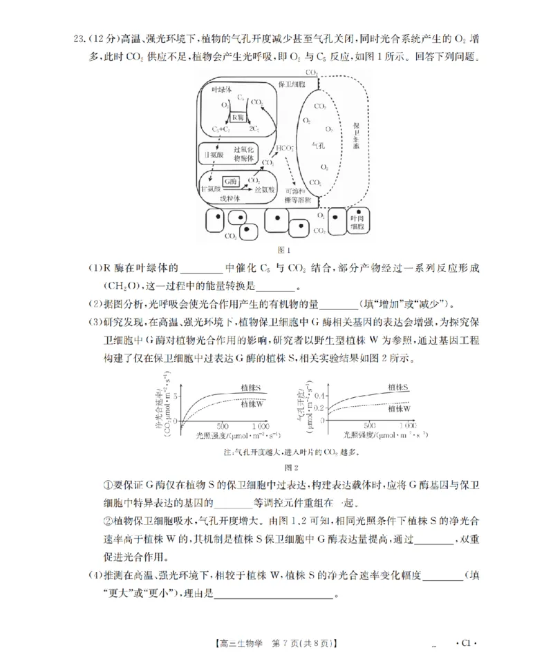 辽宁省2026届高三上学期10月联考（26-66C）生物_2025年10月_12026年试卷教辅资源等多个文件_251030金太阳&middot;辽宁省2026届高三上学期10月联考（26-66C）（全科)