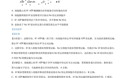 精品解析：2024年新课标甘肃高考生物试卷（解析版）_高考真题全网收集_生物学_2024年新高考甘肃卷生物高考真题解析（参考版）