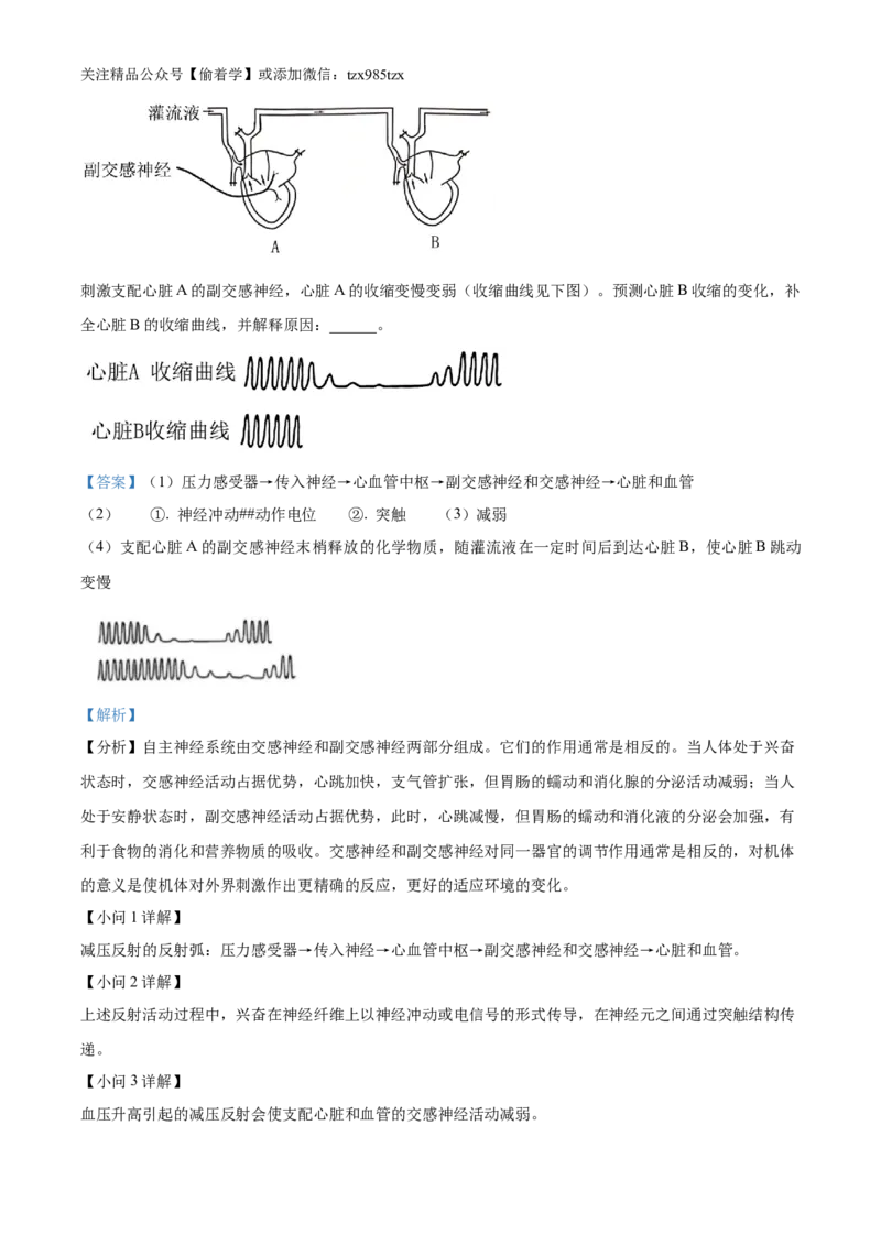 精品解析：2024年新课标甘肃高考生物试卷（解析版）_高考真题全网收集_生物学_2024年新高考甘肃卷生物高考真题解析（参考版）