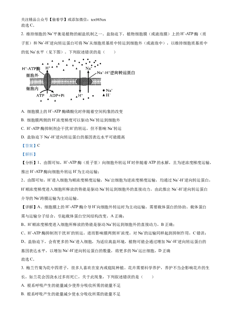 精品解析：2024年新课标甘肃高考生物试卷（解析版）_高考真题全网收集_生物学_2024年新高考甘肃卷生物高考真题解析（参考版）