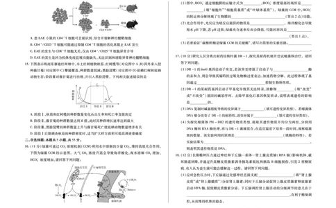生物学-海南省多校2025-2026学年高三上学期期末联考（海南二模）(1)_2026年1月_260128海南省天一大联考2025-2026学年高三上学期期末联考（海南二模）（全科）