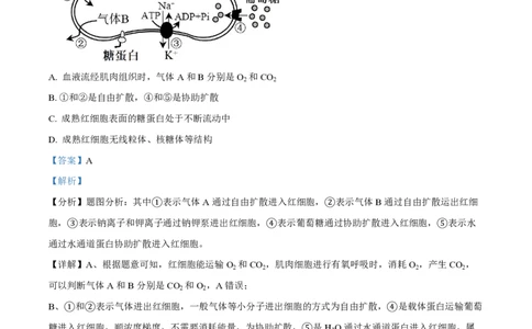 云南省红河州开远市第一中学2024届高三上学期开学考试生物解析(1)_2023年9月_029月合集_2024届云南省红河州开远市第一中学高三上学期开学考试