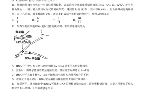 安徽省皖江名校联盟2022-2023学年高三上学期开学考试生物(1)_2023年7月_027月合集_2023届安徽省皖江名校联盟高三上学期开学考试