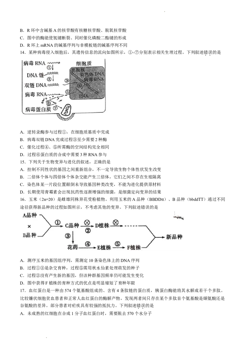 安徽省皖江名校联盟2022-2023学年高三上学期开学考试生物(1)_2023年7月_027月合集_2023届安徽省皖江名校联盟高三上学期开学考试
