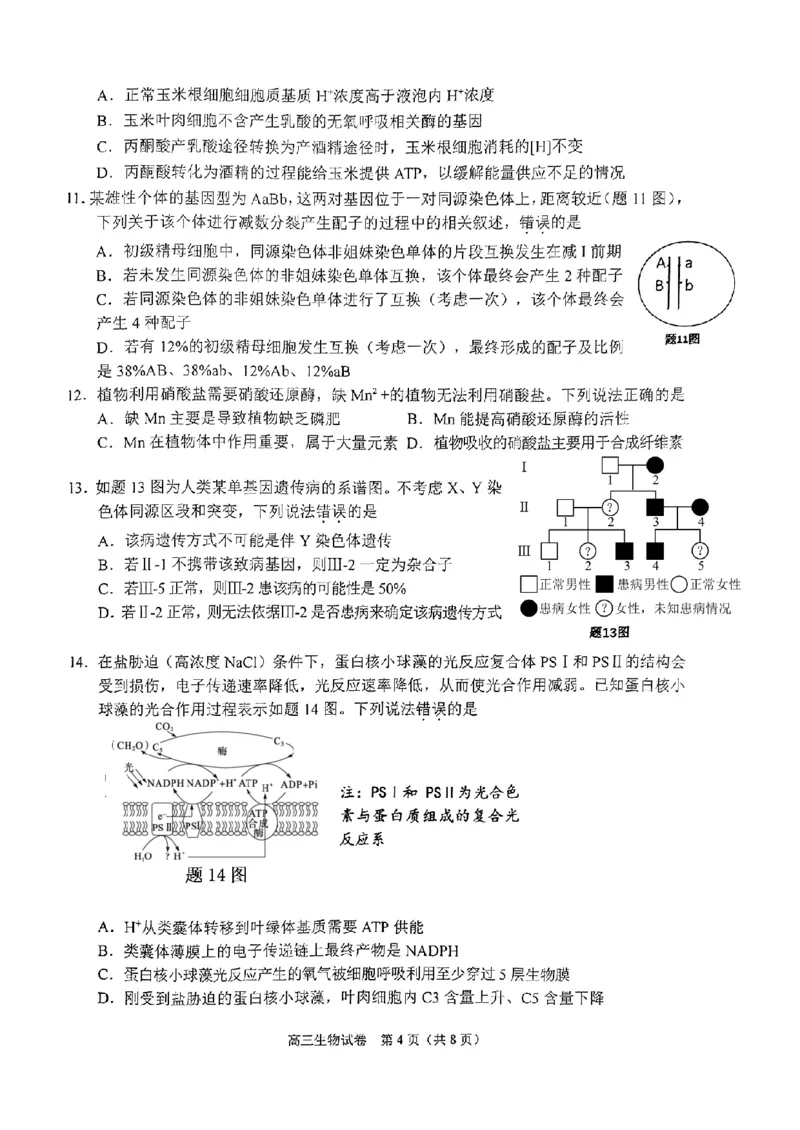 重庆主城五区高三期中生物_11月_241102重庆主城五区2025届高三期中考试