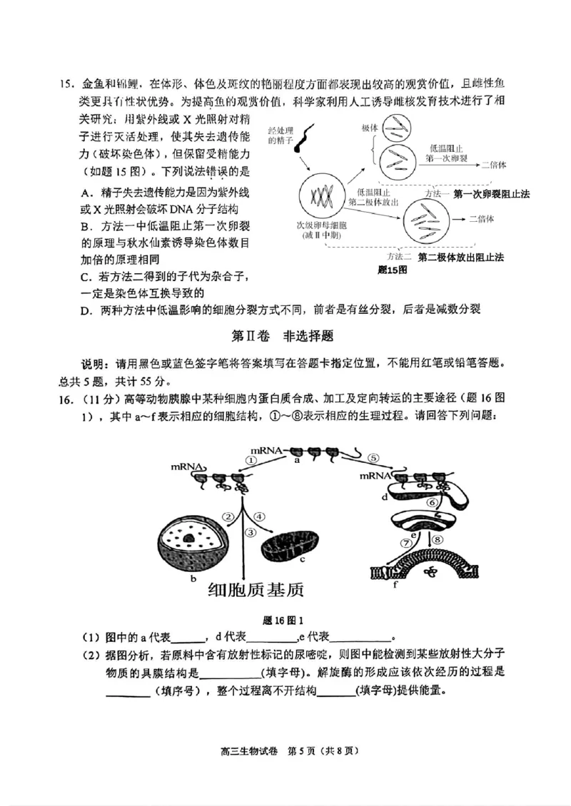 重庆主城五区高三期中生物_11月_241102重庆主城五区2025届高三期中考试
