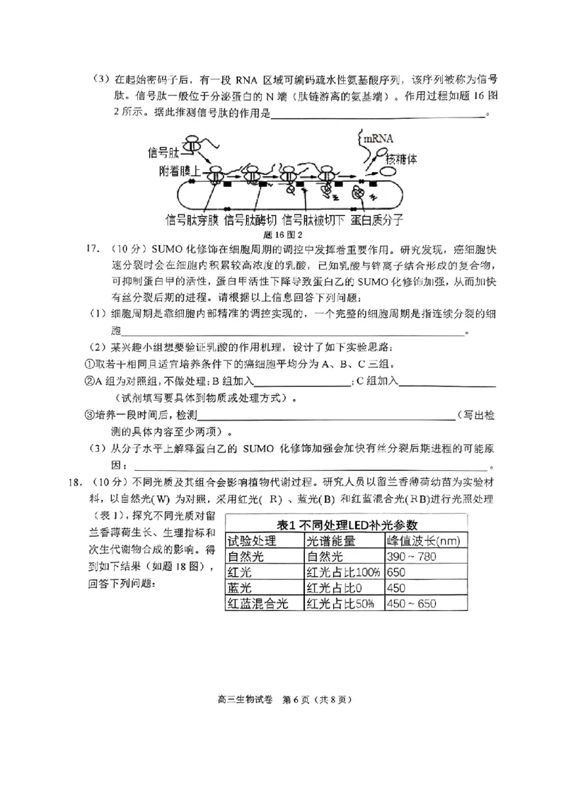 重庆主城五区高三期中生物_11月_241102重庆主城五区2025届高三期中考试