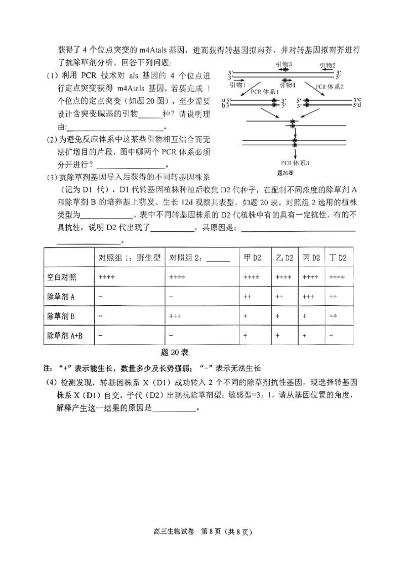 重庆主城五区高三期中生物_11月_241102重庆主城五区2025届高三期中考试