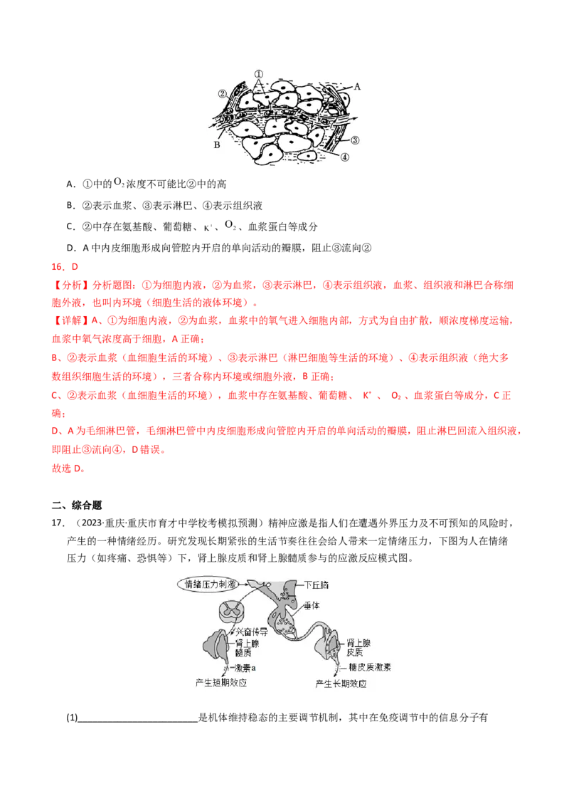 专题11内环境及其稳态（解析卷）_近10年高考真题汇编（必刷）_十年（2014-2024）高考生物真题分项汇编（全国通用）_2023年高考真题和模拟题生物分项汇编（全国通用）