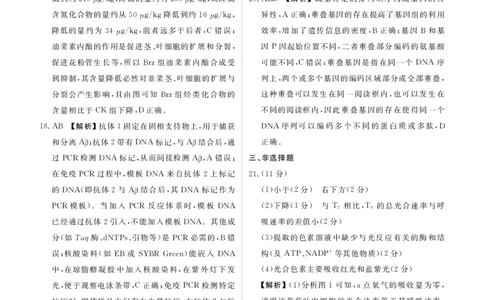内蒙古衡水金卷2026届高三上学期12月阶段性自测生物答案(1)_2026年1月_260104内蒙古衡水金卷2026届高三上学期12月阶段性自测（全科）