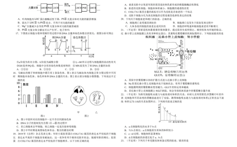 吉林省长春外国语学校2023-2024学年高三上学期9月月考试题生物(1)_2023年10月_0210月合集_2024届吉林省长春外国语学校高三上学期9月月考试题_Word