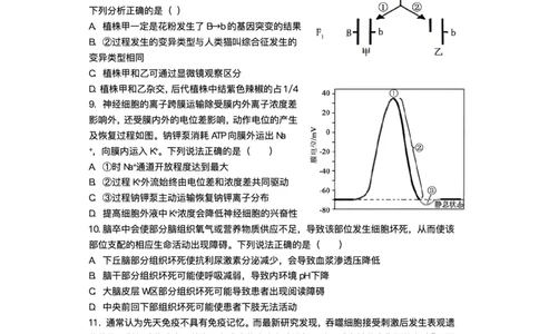 绵阳南山中学实验学校2025-2026学年高三上学期1月月考生物试题含答案(1)_2026年1月_260116四川省绵阳南山中学实验学校2025-2026学年高三上学期1月月考