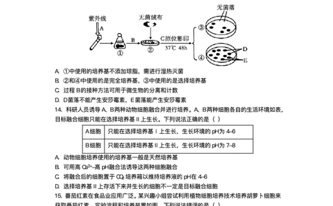 绵阳南山中学实验学校2025-2026学年高三上学期1月月考生物试题含答案(1)_2026年1月_260116四川省绵阳南山中学实验学校2025-2026学年高三上学期1月月考