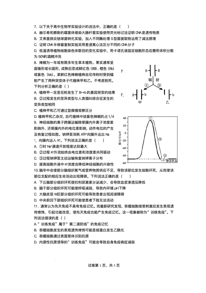 绵阳南山中学实验学校2025-2026学年高三上学期1月月考生物试题含答案(1)_2026年1月_260116四川省绵阳南山中学实验学校2025-2026学年高三上学期1月月考