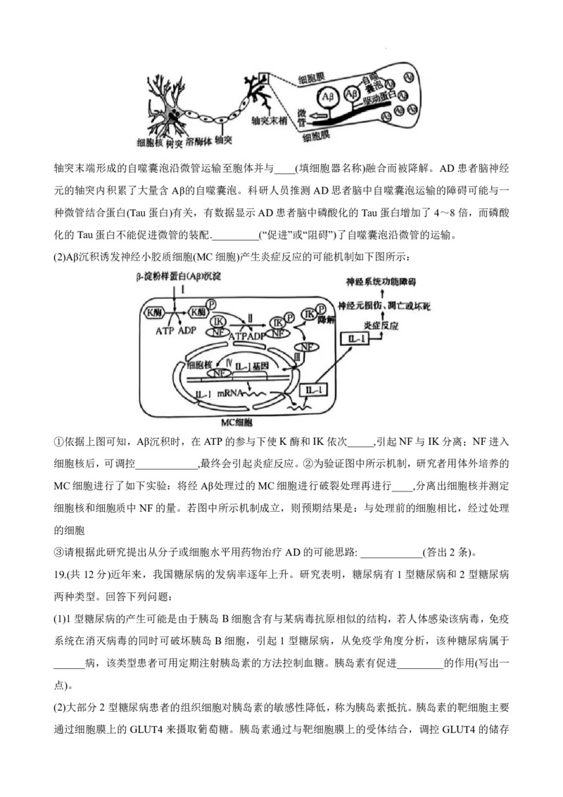 2024届广东省部分学校高三上学期8月联考生物(1)_2023年8月_028月合集_2024届广东省部分学校高三上学期8月联考