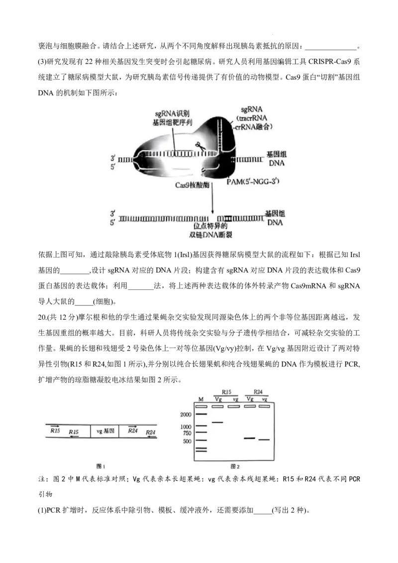 2024届广东省部分学校高三上学期8月联考生物(1)_2023年8月_028月合集_2024届广东省部分学校高三上学期8月联考