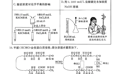 北京市东城区2026届高三上学期期末考试化学试卷(1)_2026年1月_260115北京市东城区2025-2026学年高三上学期1月期末考试（全科）_北京市东城区2025-2026学年高三上学期期末考试化学
