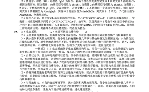 重庆实验外国语学校2025-2026学年度（上）高2026届1月期末考试（七）生物答案(1)_2026年1月_260120重庆实验外国语学校2025-2026学年度（上）高2026届1月期末考试（七）（全科）