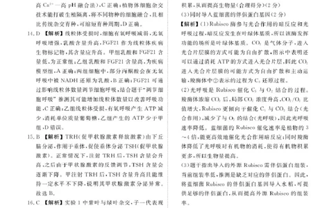 高三生物电子文件高三生物答案（2026届高三年级11月份联考）_2025年11月_251126广东衡水金卷2026届高三11月份联考（全科）_广东衡水金卷2026届高三11月份联考生物（含答案）