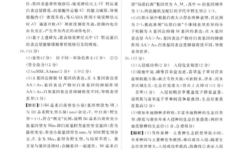 高三生物电子文件高三生物答案（2026届高三年级11月份联考）_2025年11月_251126广东衡水金卷2026届高三11月份联考（全科）_广东衡水金卷2026届高三11月份联考生物（含答案）