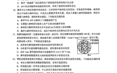 广西柳州市2026届高三上学期第二次模拟考试生物试卷（图片版，含答案）(1)_2026年1月_260123广西柳州市2026届高三上学期第二次模拟考试