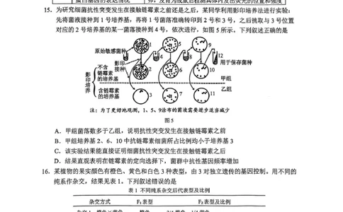 广西柳州市2026届高三上学期第二次模拟考试生物试卷（图片版，含答案）(1)_2026年1月_260123广西柳州市2026届高三上学期第二次模拟考试