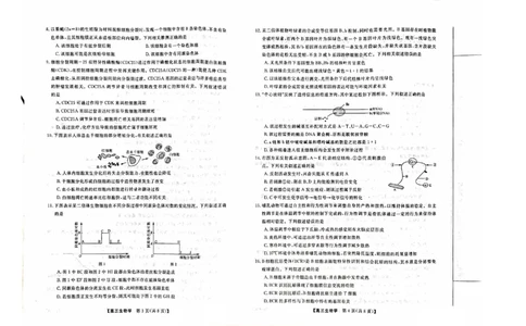 2024山西省部分学校高三上学期10月联考生物试题（含答案）(1)_2023年10月_01每日更新_6号_2024届山西省金科大联考高三上学期10月质量检测