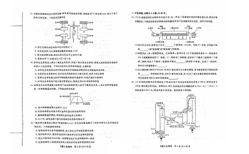 2024山西省部分学校高三上学期10月联考生物试题（含答案）(1)_2023年10月_01每日更新_6号_2024届山西省金科大联考高三上学期10月质量检测