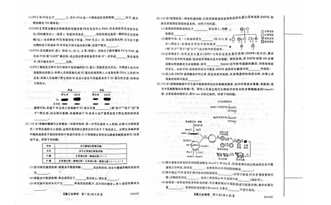 2024山西省部分学校高三上学期10月联考生物试题（含答案）(1)_2023年10月_01每日更新_6号_2024届山西省金科大联考高三上学期10月质量检测