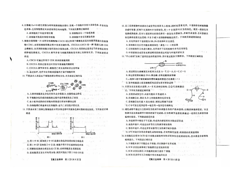 2024山西省部分学校高三上学期10月联考生物试题（含答案）(1)_2023年10月_01每日更新_6号_2024届山西省金科大联考高三上学期10月质量检测