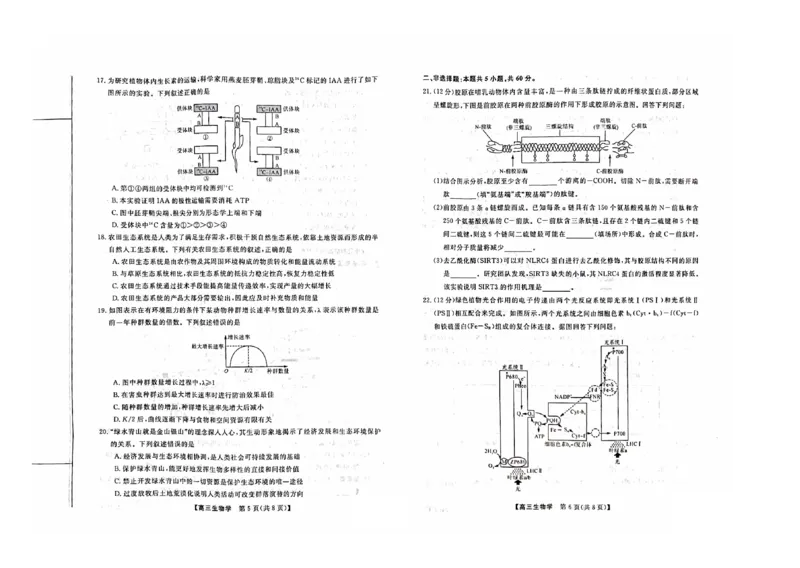 2024山西省部分学校高三上学期10月联考生物试题（含答案）(1)_2023年10月_01每日更新_6号_2024届山西省金科大联考高三上学期10月质量检测