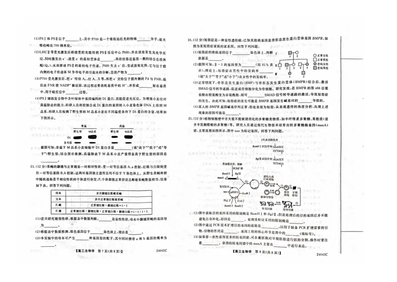 2024山西省部分学校高三上学期10月联考生物试题（含答案）(1)_2023年10月_01每日更新_6号_2024届山西省金科大联考高三上学期10月质量检测