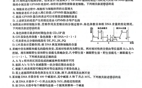 2024届陕西省榆林市&ldquo;府、米、绥、横、靖&rdquo;五校联考高三上学期开学考试生物(1)_2023年8月_028月合集_2024届陕西省榆林市&ldquo;府、米、绥、横、靖&rdquo;五校联考高三上学期开学考试（全科）
