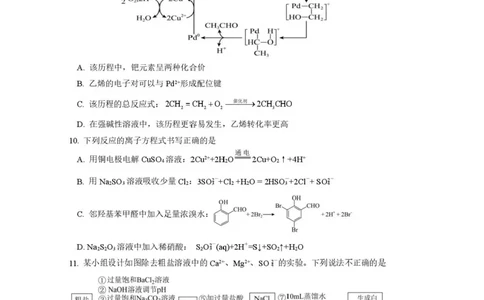 绵阳南山中学实验学校2025-2026学年高三上学期1月月考化学试题含答案(1)_2026年1月_260116四川省绵阳南山中学实验学校2025-2026学年高三上学期1月月考