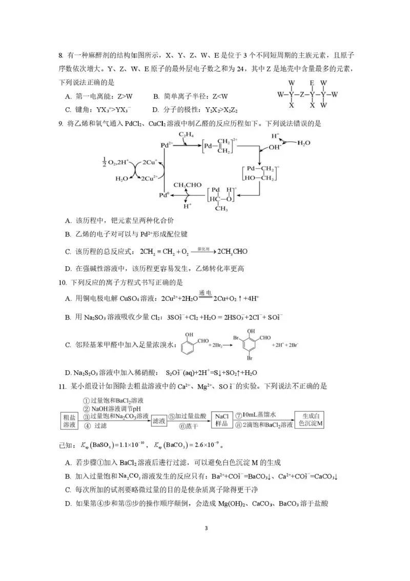 绵阳南山中学实验学校2025-2026学年高三上学期1月月考化学试题含答案(1)_2026年1月_260116四川省绵阳南山中学实验学校2025-2026学年高三上学期1月月考