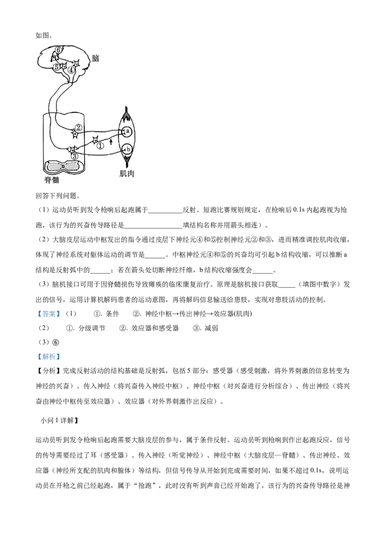 精品解析：2024年新课标高考真题安徽卷生物试卷（解析版）_高考真题全网收集_生物学_2024年新高考安徽卷生物高考真题解析（参考版）